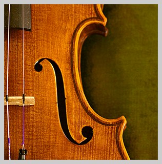 detail of a violin